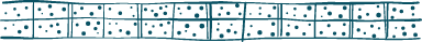 Drawn Rectangles Border