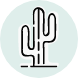 Basic Saguaro Cactus