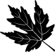 Sable Maple Leaf