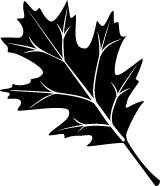 Black Oak Leaf