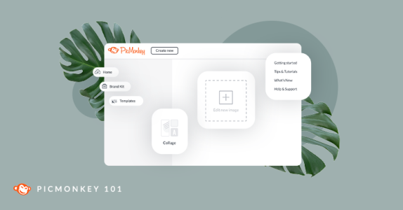 PicMonkey 101 video tutorials to get you started