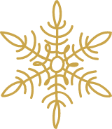 Six-Pointed Snowflake