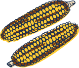 Grilled Corn